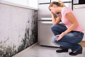 Best Air Quality Testing for Mold Spores  in Kingsland, GA